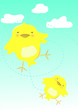 birdy