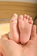 Foot of newborn baby