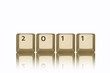 2011 gespiegelt