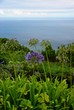 Atlantikblick auf Sao Miguel (Azoren)