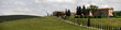 Weingut im Chianti mit weinberg