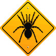 Vector: Vogelspinne Vogelspinne