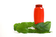 bottle of shampooand green leaves