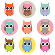 Colorful Owl Characters