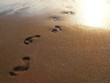 Footprints in the wet sand