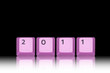 2011 Jahreszahl