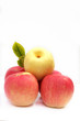 fruit
