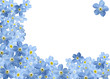 forgetmenot border