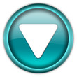 Down button