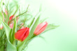 Foto: Blumenstrauß Tulpen Blumenstrauß Tulpen