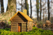 petite maison écologique.