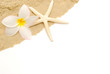 tropical beach border