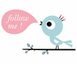 follow me!