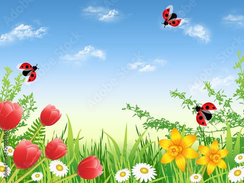 Illustration: Spring garden with daisies, narcissuses and tulips Spring garden with daisies, narcissuses and tulips