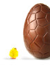 Little easter chick looking up at chocolate egg Little easter chick looking up at chocolate egg