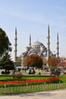Blue mosque Blue mosque