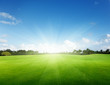green field and trees