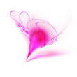 Stylized image of the heart isolated on a white background Stylized image of the heart isolated on a white background