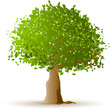 vector tree