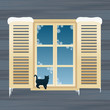 Cat near windows in winter