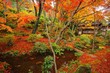 常寂光寺　紅葉