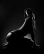 Silhouette of nude woman