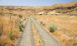 Road in the Desert