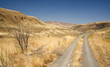 Road in the Desert