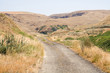 Road in the Desert