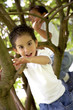 boys climbing a tree