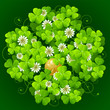 Clover glade in the shape of quatrefoil
