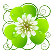 Clover