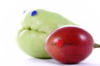 La chayotte et le tamarillo La chayotte et le tamarillo
