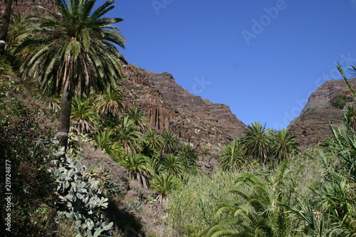 La Gomera La Gomera