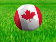 Illustration: WM Football Kanada WM Football Kanada