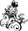 Floral ornament, Element for design, vector illustration Floral ornament, Element for design, vector illustration