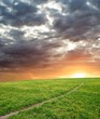 small road in a green field by a sunset small road in a green field by a sunset