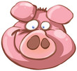 cochon