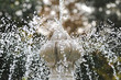 fontana fontana