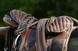 saddle