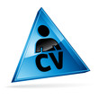 Curriculum vitae