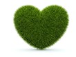 Heart from grass isolated on white