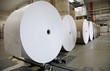 Foto: Papierrollen Papierrollen