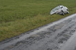 Car Off the Side of Rural Road