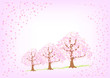桜の並木道