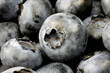 Foto: Heidelbeeren Makro Heidelbeeren Makro