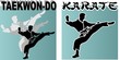 karate poster