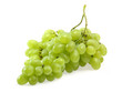 Green grapes Green grapes