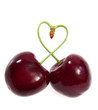 Two cherries tied together in a heart Two cherries tied together in a heart