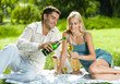 Young happy couple celebrating with champagne at picnic Young happy couple celebrating with champagne at picnic